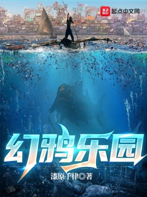 蓝天航空公司第二书包