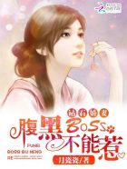 风中奇缘结局