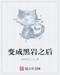 冒牌女婿