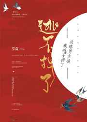 皮皮电影天堂