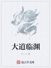 风流老李小说全部