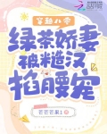 h版小说