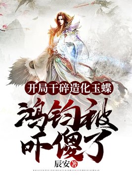 老扒小说