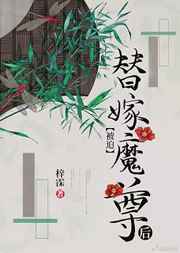 1-40集完整你是我的城池营垒