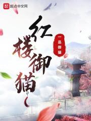 为她而战综艺