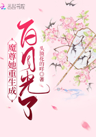 婆婆来了电视剧完整版