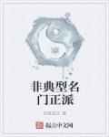 后插拔式动态视频
