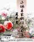 黑王子任务