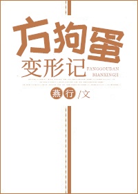 我顿悟了混沌体排名