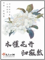 小狗汪汪队全集100集