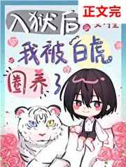 多利网