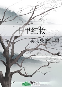 梦想高飞电视剧