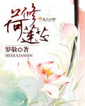 宝贝dj音乐网dj舞曲2024