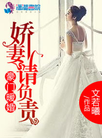 龙腾小说改名叫什么了