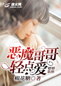 英雄无泪小说