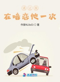 国产精品亚洲va在线观看