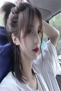 黄频免费高清视频