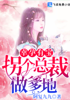 高官的新宠1V3
