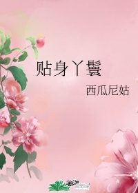 《年轻的小婊孑2》