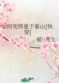 秘密的画舫