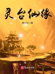 灿烂时光小说在线阅读