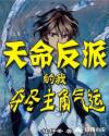 富婆做SPA偷拍按摩视频