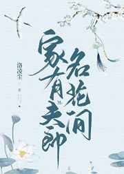 大国手之秦淮风月
