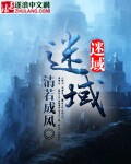 全职猎人完结了吗
