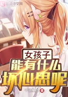 飞天红猪侠