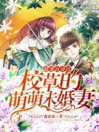 雅儿贝德与夏提雅本子