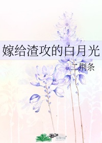 2024中文字幕视频