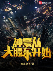 龙之谷最强职业