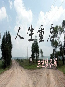 变形金刚1高清免费观看