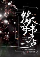 夫人夜完整版在线观看