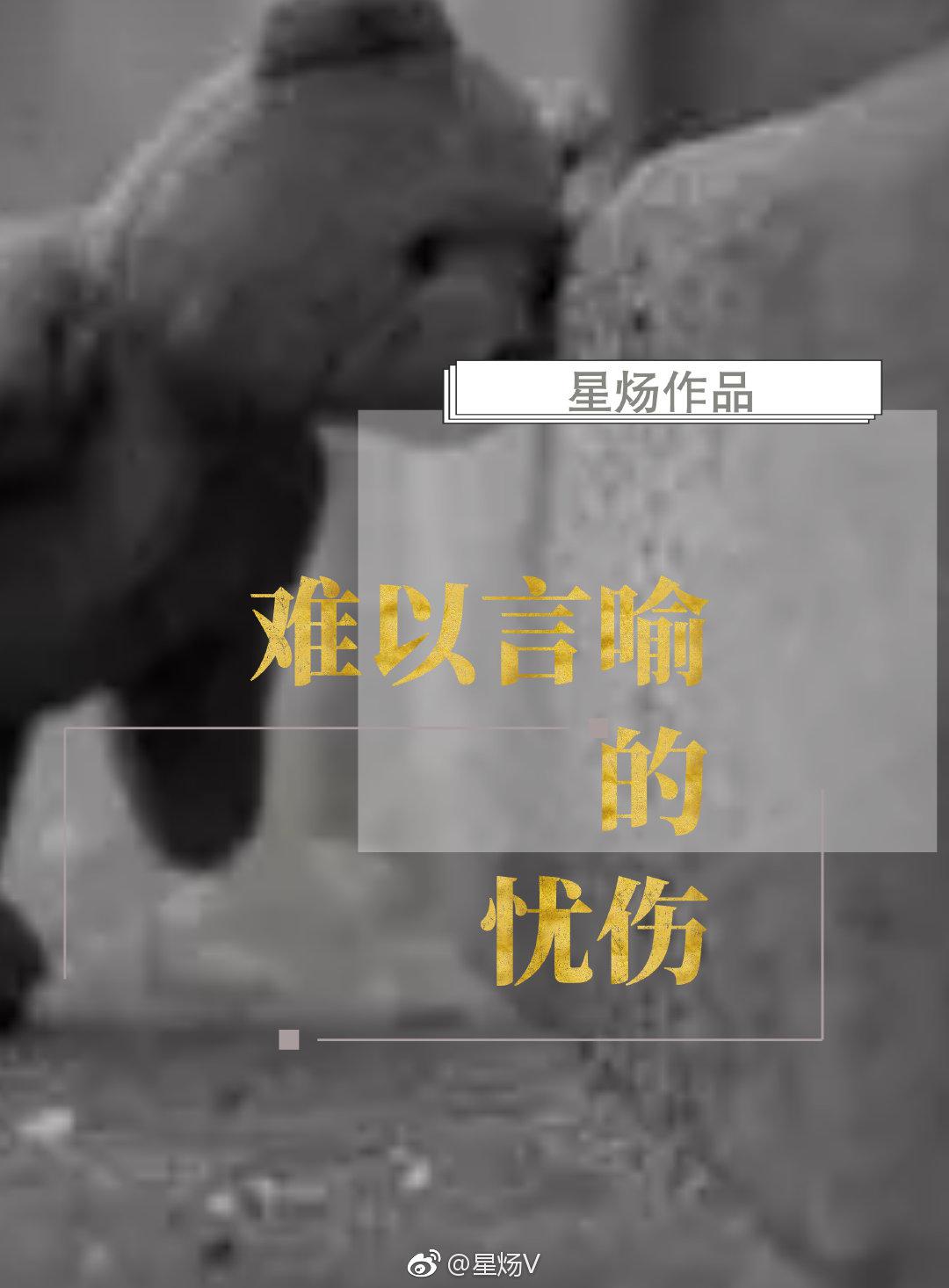 毛茸茸老女人