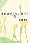 丁长林章亮雨全文