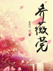 我的极品后宫