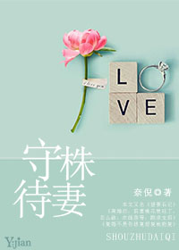 纸婚小说