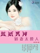 美妇后宫