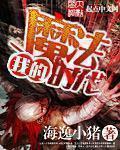 武动乾坤第三季全集免费下载