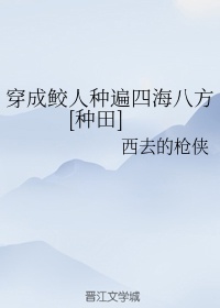 大唐无双2职业