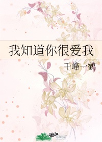 告白小说