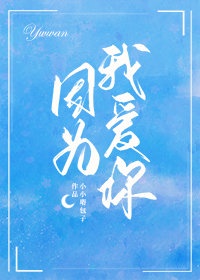 第一夫人txt