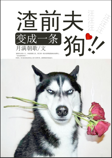 出轨同学会完整版
