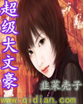 漂亮女局长小说全文免费观看