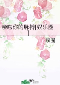 哔哩哔哩 下载