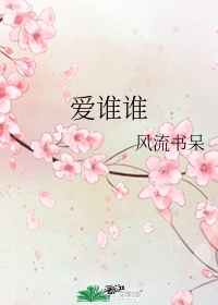 vidz中国