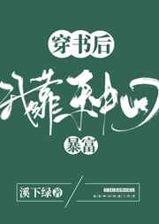 玉女心经舒淇完整视频
