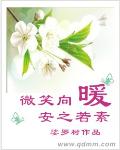 总统小说
