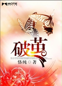 成大片app播放器怎么下载